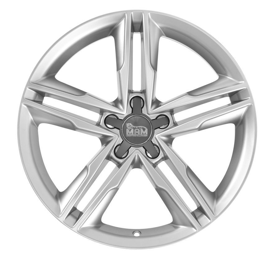 A1 Silver Painted 8x19