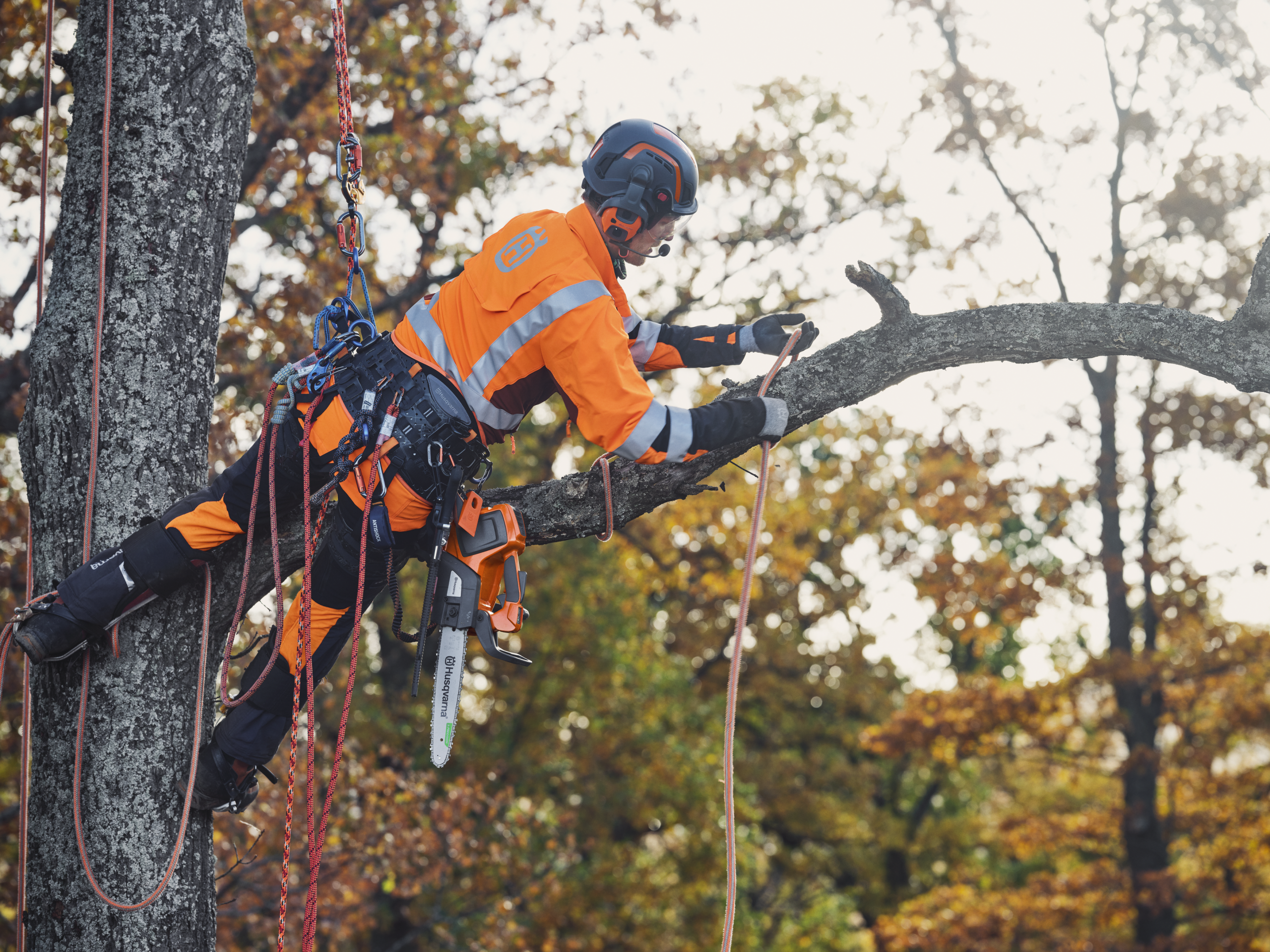 Husqvarna T535i XP® - Image 5