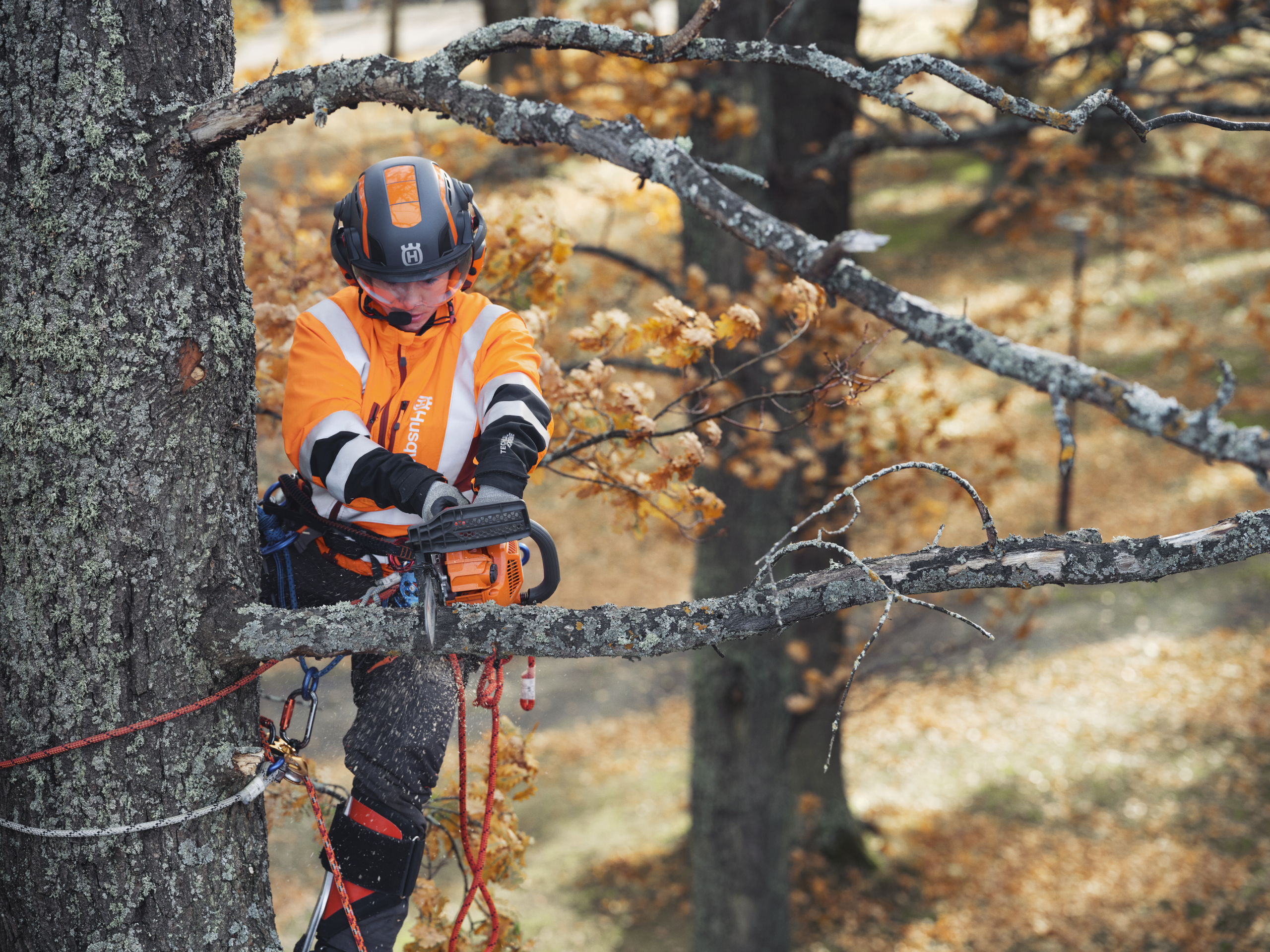 Husqvarna T435 - Image 2