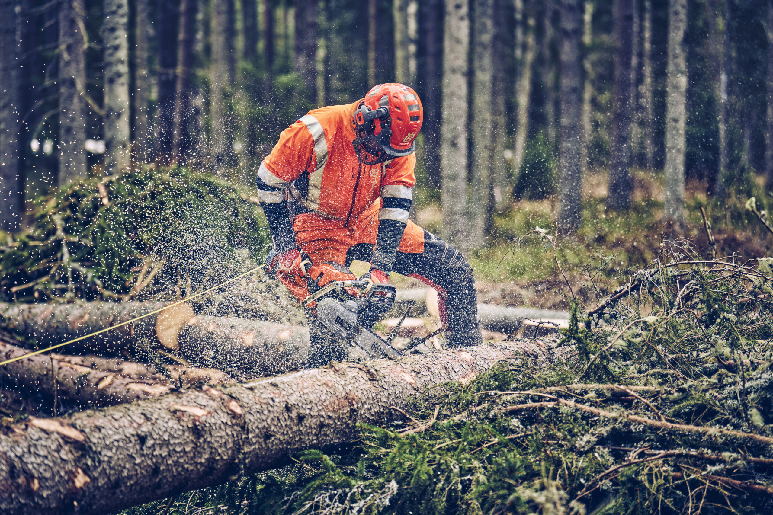 Husqvarna 560 XP® Mark II - Image 4