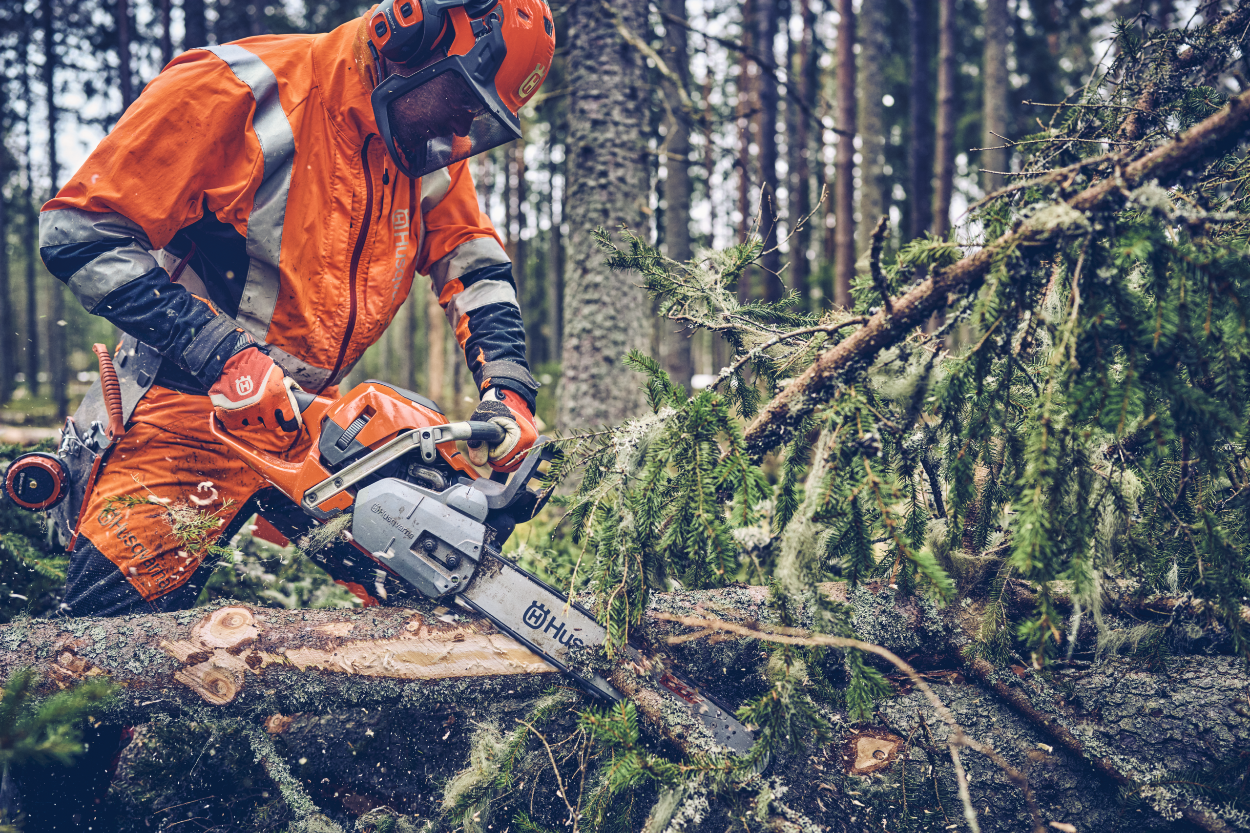 Husqvarna 560 XP® Mark II - Image 2